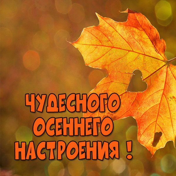 Чудесного осеннего нас