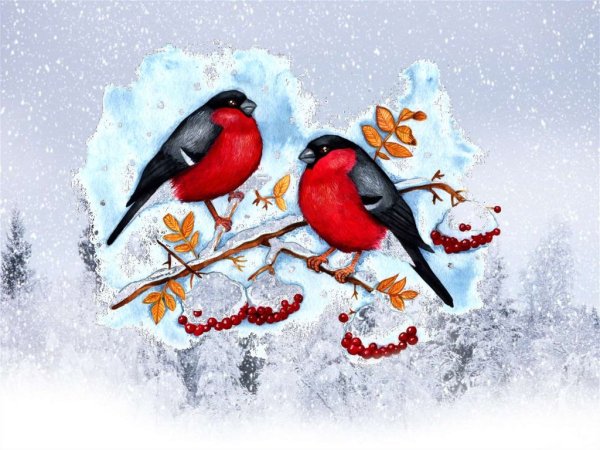 Открытка "Снегири"