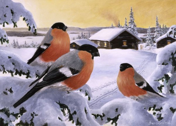 Пейзаж со снегирями