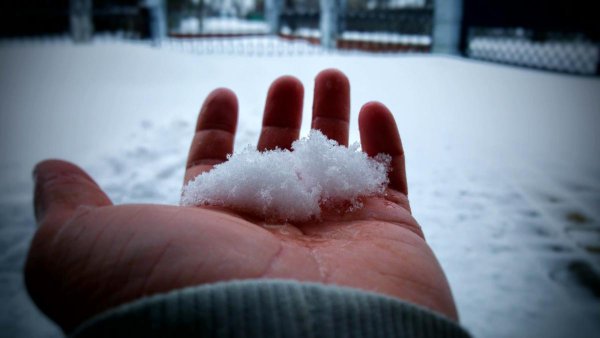 Снежок в ладонях