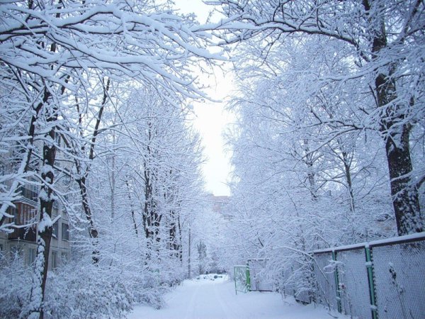 Зима пришла