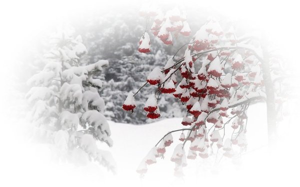 Зима на прозрачном фоне