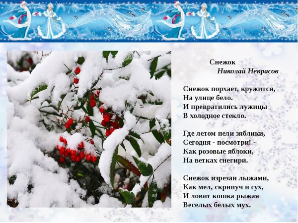 Николай Некрасов снежок