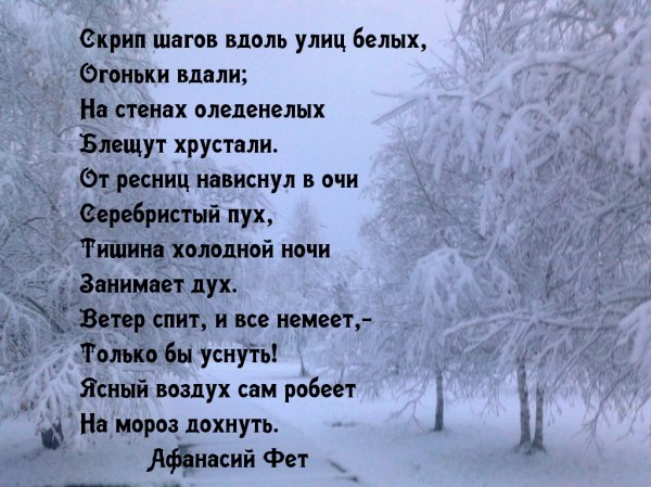 Фет стихи о зиме