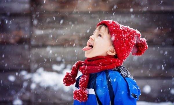 Радоваться снегу