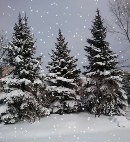 Подтаявший снег