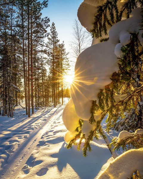 Зима картинки