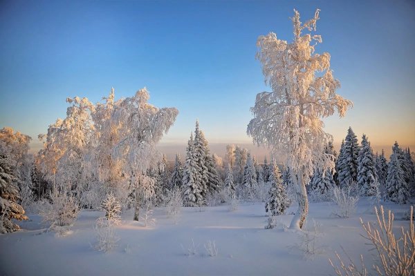 Пейзаж зимнее утро