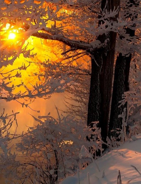 Зима солнце