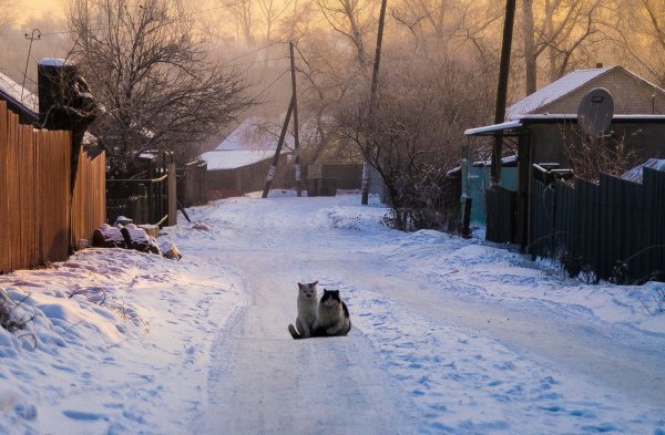 Зимний двор в деревне