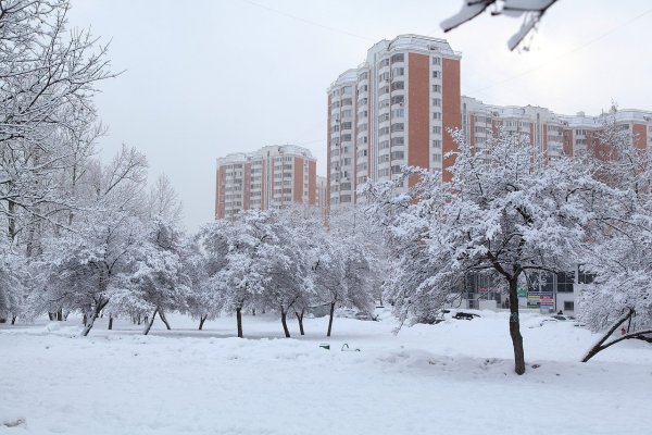 Снегопад в Москве