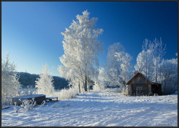 Природа зимой деревня