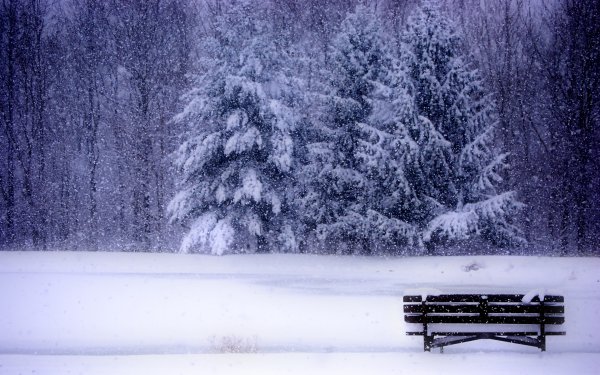 Падающий снег