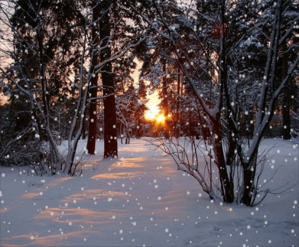 Падающий снег