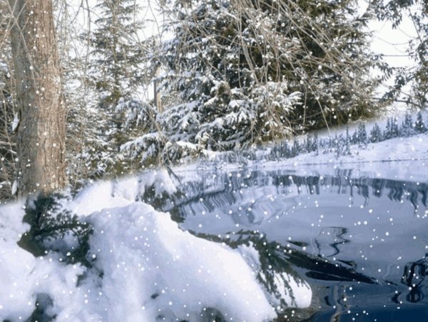 Падающий снег в лесу