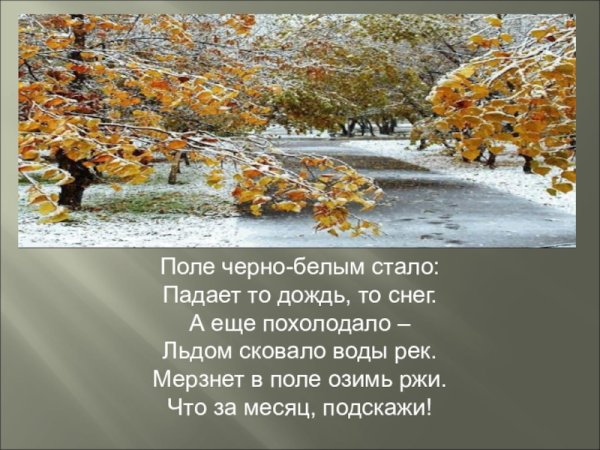 То дождь то снег