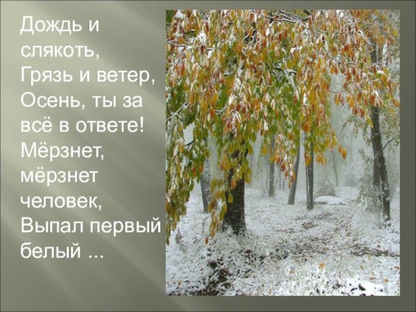 Пришла поздняя осень в лесу