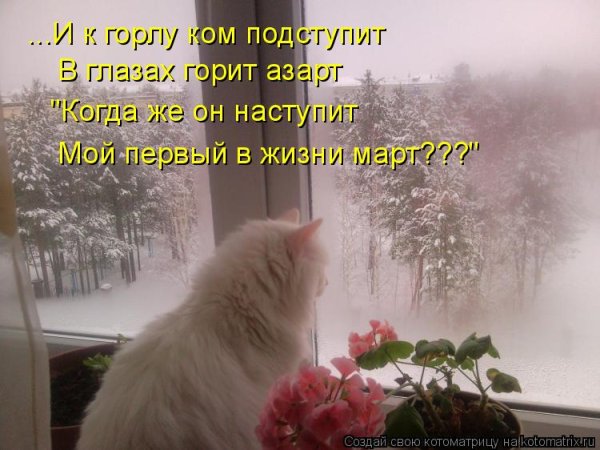 Снежок за окном