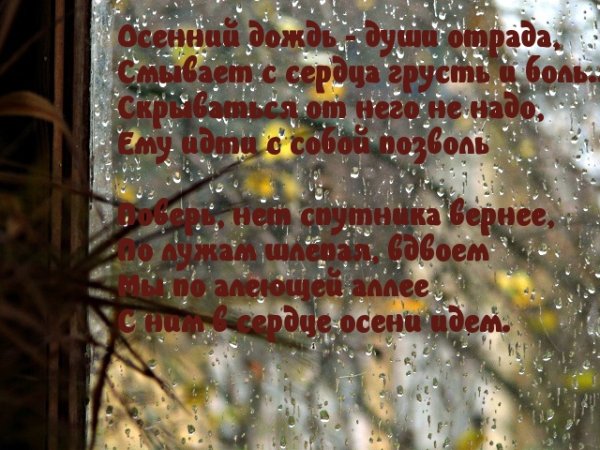 Дождливая осень с пожеланиями