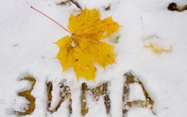 Выпал первый снег