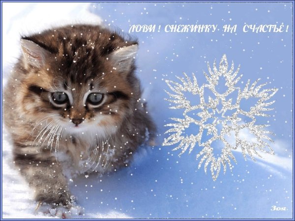 Открытки со снегом