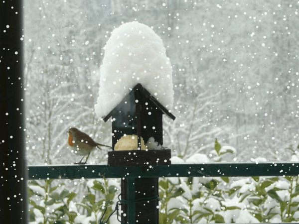 Падает снег за окном