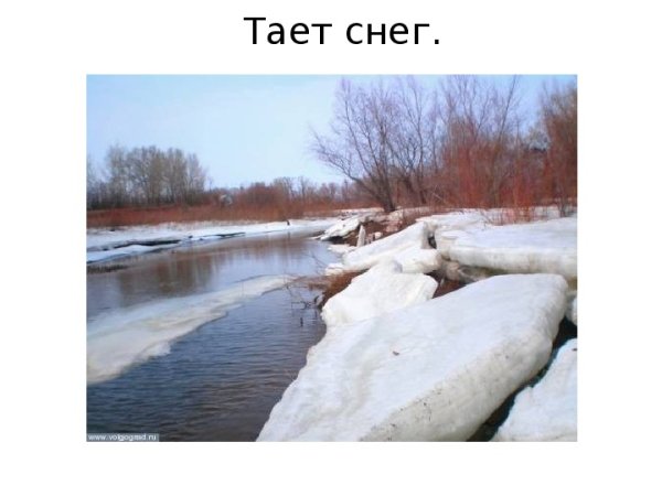 Признаки начала весны