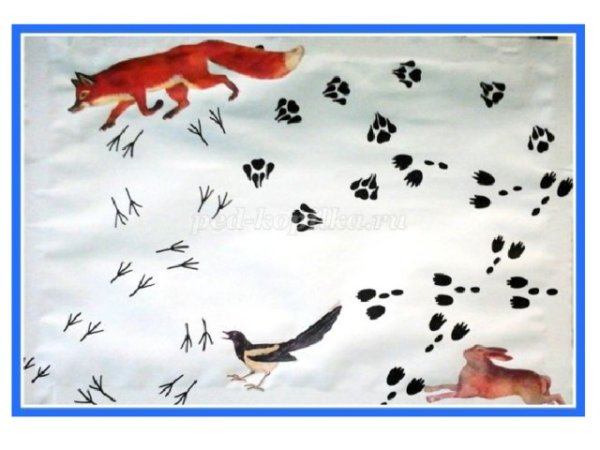 Следы животных и птиц для детей