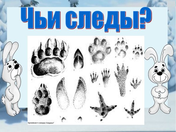 Игра для детей чьи следы диких животных
