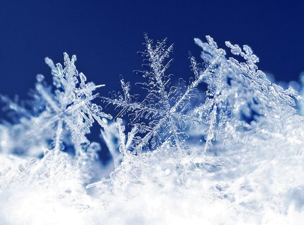 Снежинка Макросъемка