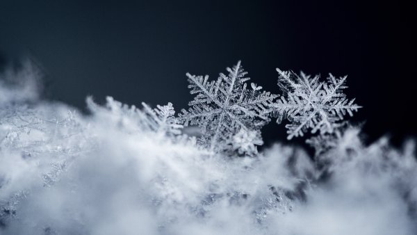 Несколько снежинок