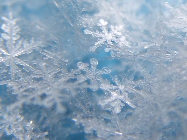 Снег снежинки