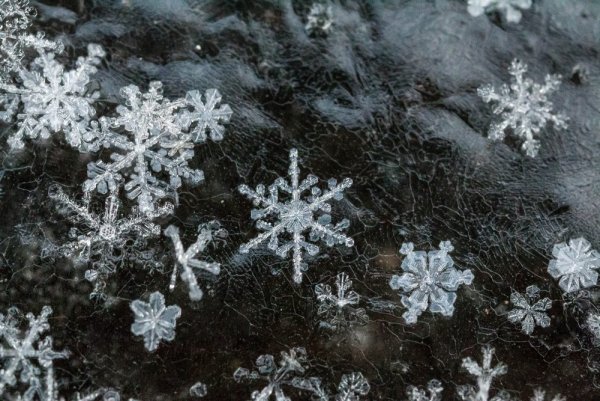 Снежинки природные