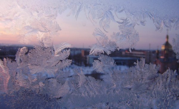 Ледяные кружева