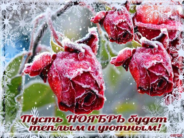 Прекрасного настроения в ноябрьский день