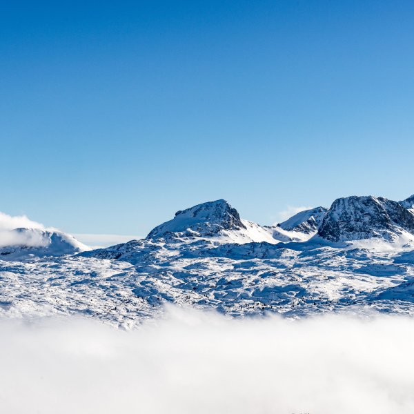 Заснеженные горы панорама