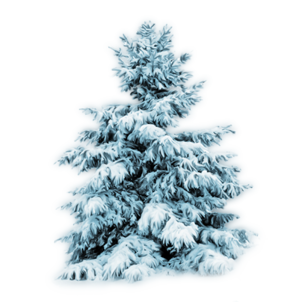 Елка в снегу без фона