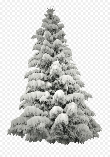 Зимняя елка