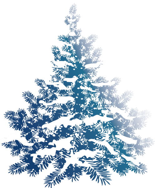 Зимняя елка на прозрачном фоне