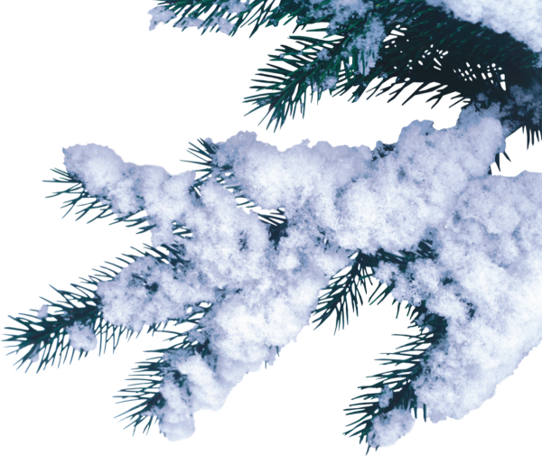 Зима на прозрачном фоне