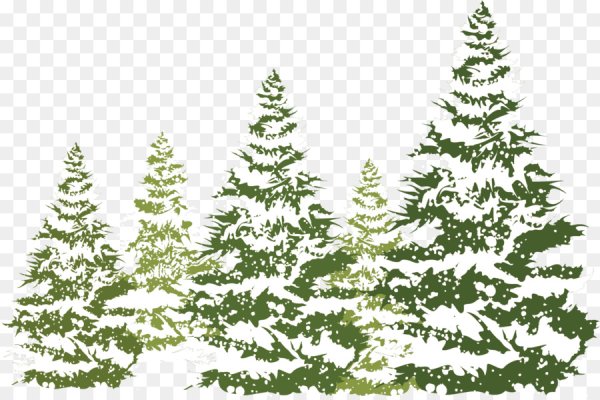 Елка в лесу на прозрачном фоне