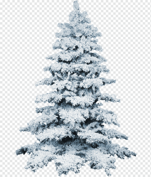 Заснеженная елка