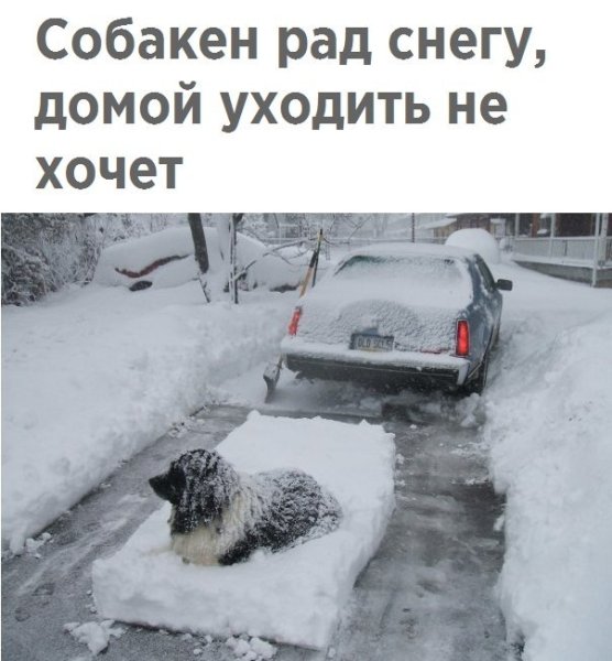 Много снега юмор