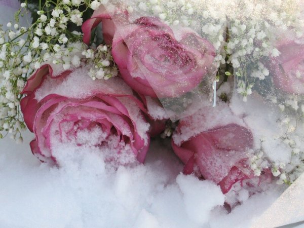 Красивый букет на снегу