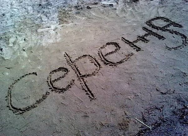 Надпись Сереженька