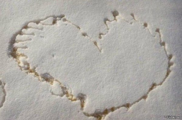 Сердце на снегу мочой