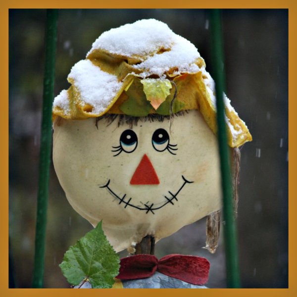 С добрым зимним утром прикольные