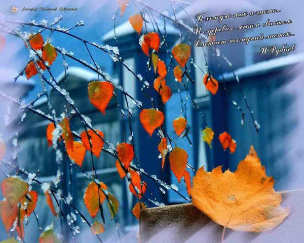 Пожелания в дождливый осенний день