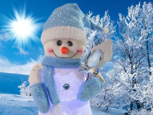 Веселого зимнего дня