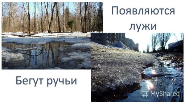 Ручеек в луже весной